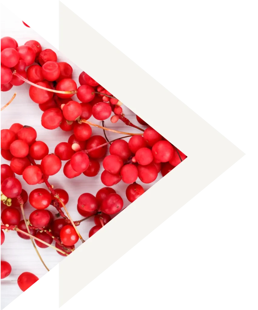 trojkat-ozdobny-jagody