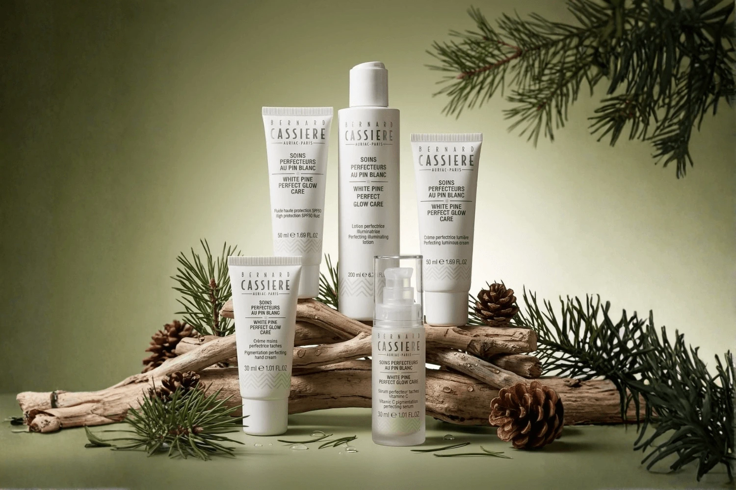 White pine, pielęgnacja home